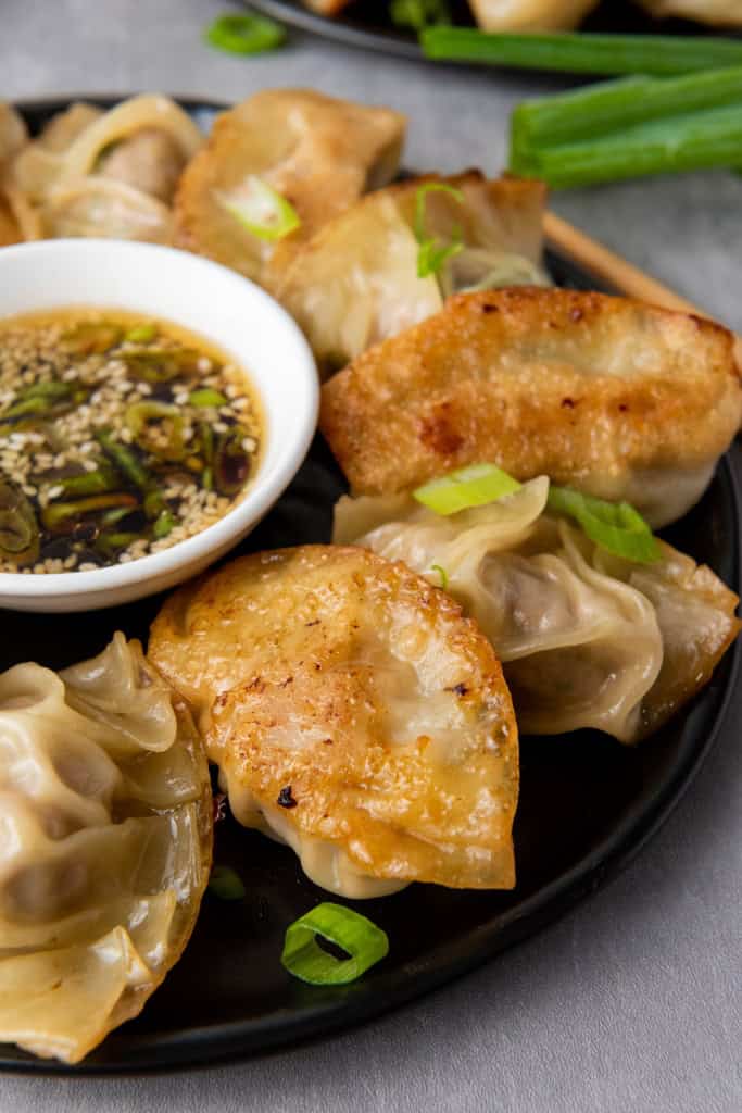 Pan Fried Pork Dumplings
