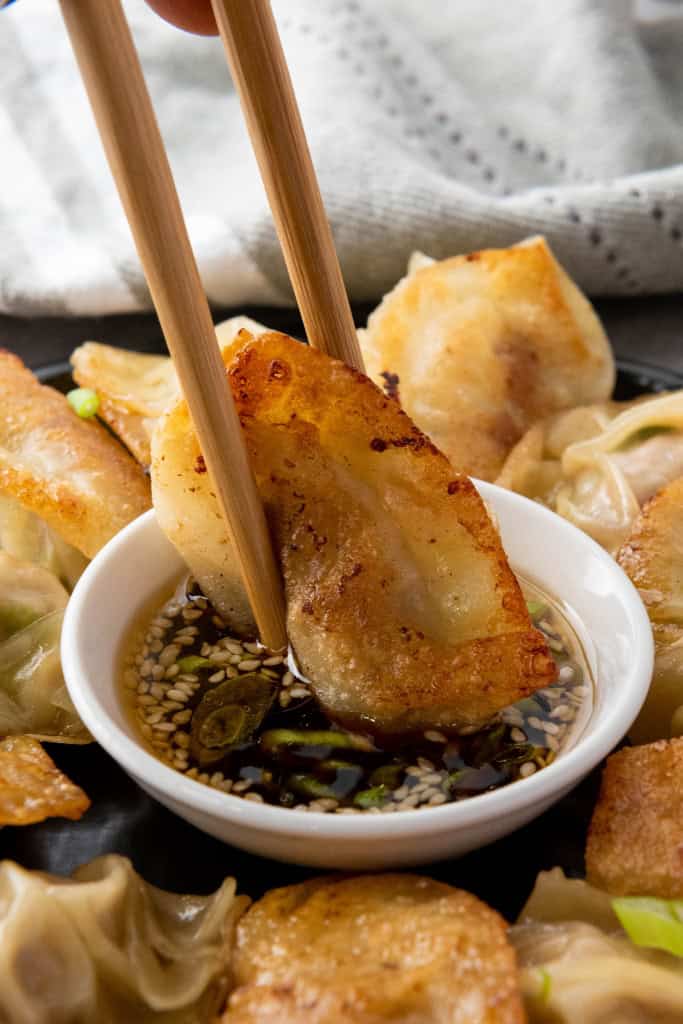 Pan Fried Pork Dumplings