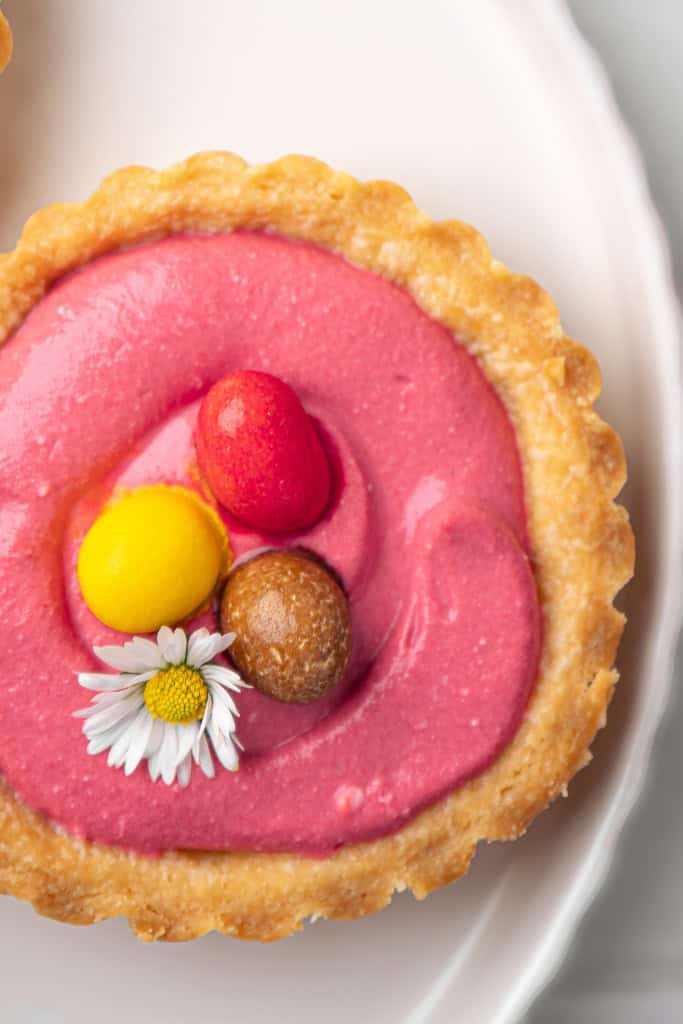 mini spring cheesecake tart